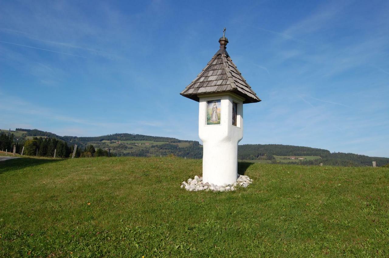 Urlaub Am Zechnerhof Apartamento Straßburg in Kärnten Exterior foto